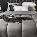 Axyaa Winter Microfiber Duvet Comforter - Thick & Washable - Small Queen King Size