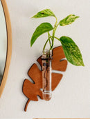 Axyaa Indoor Plant Wall Planter Propagation Station - Unique Gardening Gift for Plant Lovers