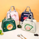 Axyaa Insulated Lunch Bag Portable Food Storage Cooler for Women, Kids, Picnic, Travel