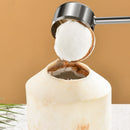 Axyaa Stainless Steel Coconut Opener with Wooden Handle and Rubber Hammer