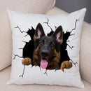 Axyaa Cute Dog Print Pillow Case for Home Decor and Comfort