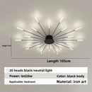 Axyaa Firework Decor LED Ceiling Lights for Living Room Bedroom Kitchen, Nordic Indoor Home Fixture