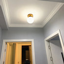 Axya Nordic LED Luxury Ceiling Lamp Metal Modern Minimalist Lighting