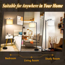 Axyaa LED Floor Lamp with Dimmable 3 Color Options and Modern Design