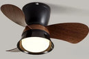 Axyaa Ceiling Fan Light with Variable Frequency Control