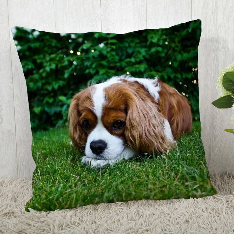 Axyaa Cocker Spaniel Sofa Cushion Cover - Creative and Simple Home Decor