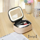 Axyaa PU Leather Makeup Bag with LED Lights and Detachable Mirror