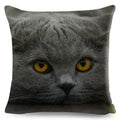 Cute Cat Print Fold Ear Pet Pillowcase for Cozy Home Decor by Axyaa