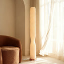Axyaa Minimalist LED Floor Lamp, Remote Control Dimming, Nordic Ins Style