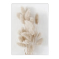 Axyaa Beige Bunny Tail Grass Pampas Reed Wall Art Print & Decor