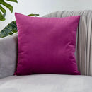 Axyaa Luxury Velvet Cushion Cover for Sofa Living Room Decor 45x45 30x50 50x50