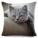 Axyaa Fold Ear Cat Pillow Covers - Set of 2 Cute Pet Pillowcases