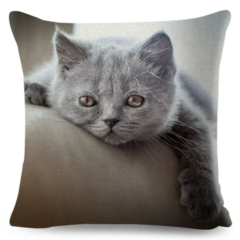 Axyaa Fold Ear Cat Pillow Covers - Set of 2 Cute Pet Pillowcases