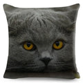Axyaa Fold Ear Cat Pillow Covers - Set of 2 Cute Pet Pillowcases