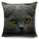 Axyaa Fold Ear Cat Pillow Covers - Set of 2 Cute Pet Pillowcases