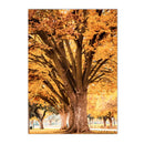 Autumn Forest Squirrel Landscape Canvas Wall Art Print Home Decor by Axyaa