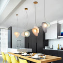 Axyaa Nordic Glass Chandelier LED Ceiling Lamps for Home Decoration