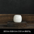 Axyaa Ceramic Mini Vase Set for Nordic Room Decor