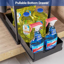 Axyaa 2-Tier Under Sink Organizer for Kitchen and Bathroom Storage