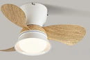 Axyaa Ceiling Fan Light with Variable Frequency Control