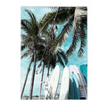 Dolphin Whale Starfish Sea Life Canvas Painting Set by Axyaa