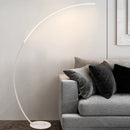 Axyaa Minimalist LED Floor Lamp with Remote Control Dimming, Nordic Ins Style