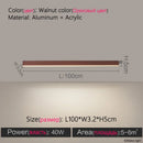 Axyaa Modern Minimalist Integrated LED Ceiling Lights for Corridors