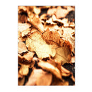Autumn Forest Squirrel Landscape Canvas Wall Art Print Home Decor by Axyaa