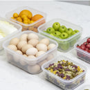 Axyaa Sealed Storage Box Set for Freshness Preservation and Portability