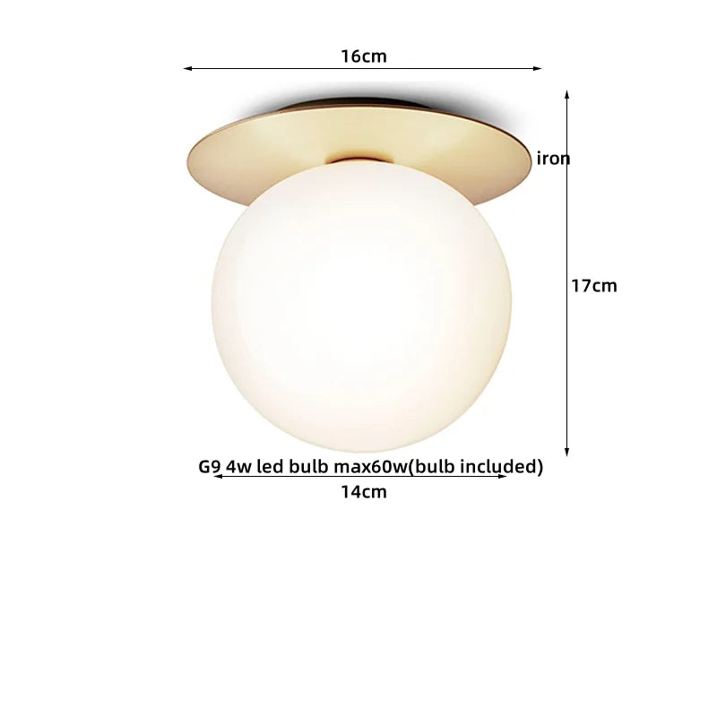 Axyaa Modern Iron Glass LED Ceiling Lamp for Home Lighting