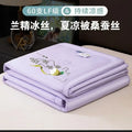 Axyaa Silk Cool Quilt: Single/Double Thin Mulberry Silk Quilt Core for Summer