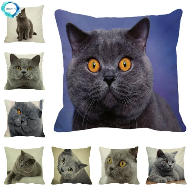 Axyaa British Shorthair Cat Pillow Cover 45X45cm Square Cushion
