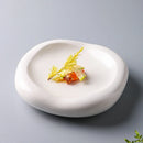 Axyaa Pure White Ceramic Double-layer French Tableware for Molecular Dishes