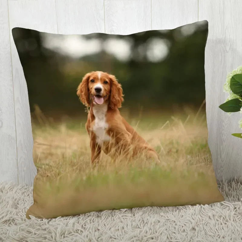 Axyaa Cocker Spaniel Sofa Cushion Cover - Creative and Simple Home Decor