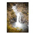 Nordic Forest Wildlife Wall Art Print by Axyaa