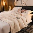 Axyaa Plush Quilted Blanket, Coral Fleece, Double Sided, Thick Bed Cover