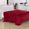 Axyaa Velvet Plush Fleece Blanket - Solid Color Velour Design