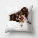 Dog Pattern Cushion Cover for Home Decor by Axyaa