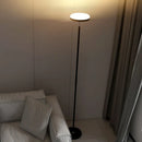 Axyaa Modern Minimalist LED Floor Lamp for Home Decoration in Nordic Style