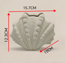Axyaa Shell Ceramic Vase Desktop Decor Ornament Hydroponic Flower Arrangement