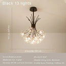Axyaa Nordic Dandelion Ceiling Lamp: Warm, Creative Home Lighting for Bedroom, Living, Dining Room