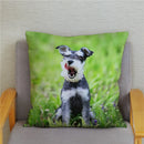 Axyaa Cute Schnauzer Print Pillowcase Cover