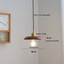 Axyaa Nordic Modern Ash Walnut LED Pendant Light for Home Decor