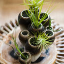 Axyaa Abstract Tooth Flower Pot: Artistic Ceramic Vase for Terrarium Home Decoration