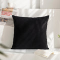 Velvet Cushion Cover for Sofa Living Room, 30x50cm Decorative Pillows by Axyaa