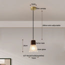 Axyaa Clear Glass LED Pendant Light Chandelier - Home Decor Hanging Lamp