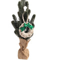 Axyaa Handmade Woven Tapestry Small Christmas Tree Circle Walking Stick Decoration
