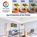 Axyaa Nordic LED Ceiling Light with Remote Control Dimming