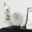Axyaa Resin Conch Shell Vase Sculpture for Home Decoration