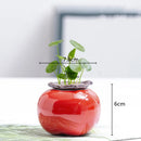 Axyaa Ceramic Persimmon Fruit Flower Pot for Home Decor